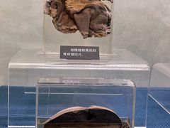 -上海公安博物馆