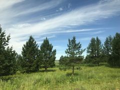 -塞罕坝国家级自然保护区