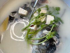 -宝荣鱼馆·临湖之宴(千岛湖店)