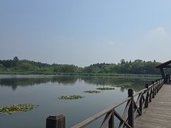 -溱湖国家湿地公园