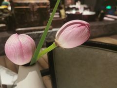 -杭州君悦酒店·湖滨28中餐厅