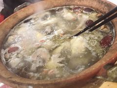 连州果园鸡-司马街鸡煲(西华路店)