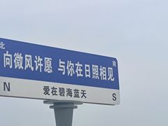 -日照海滨国家森林公园