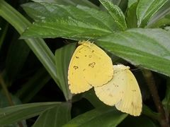 -白沙门生态公园