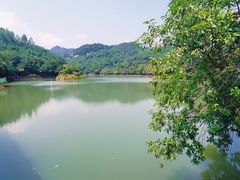 -广州白江湖森林公园