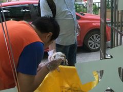 -畜牧兽医站(共江路店)