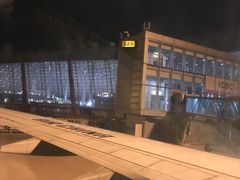 -胡志明新山一国际机场