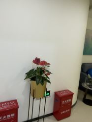 -丰联丽格医疗美容·联合丽格眼整形中心