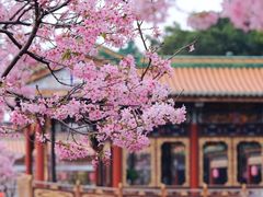 -宝墨园景区