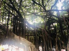 -胡里山炮台