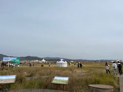 -敕勒川草原