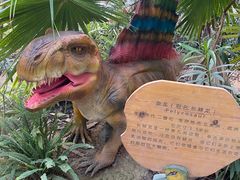 -呀路古热带植物园