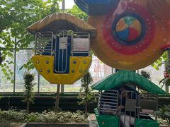 -南宫五洲植物乐园