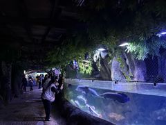 -左海海底世界