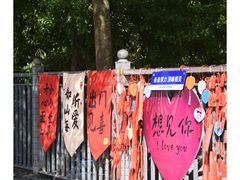 -狐尾山公园