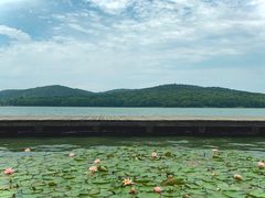 -水上明月·湖景餐厅