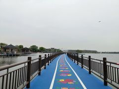 -鹅湖玫瑰文化园