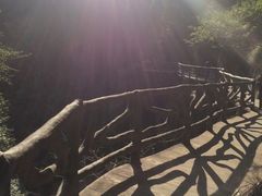 -花岩国家森林公园