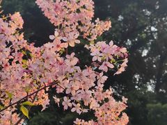 -乌山风景区