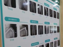 -千城康桥宠物医院CT影像·骨科·心脏专科中心(厚街分院)