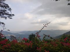 -呀诺达热带雨林