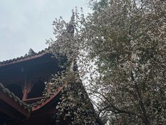 -望江楼公园