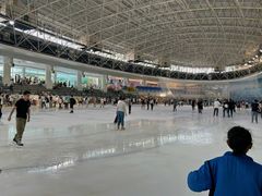 -世界之窗阿尔卑斯冰雪世界