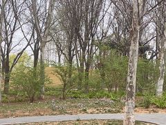 -临汾涝洰河生态公园
