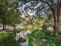 -上海共青森林公园