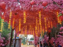 -北京欢乐谷
