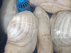 -皇朝海鲜酒店