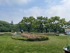 -苏州上方山国家森林公园