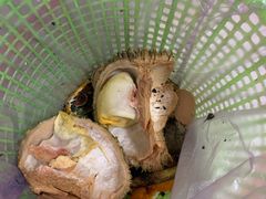 -上海第一八佰伴