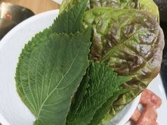 -青瓦餐厅·生鱼片·韩园烤肉(西塔店)