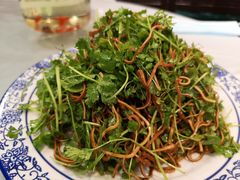 -陈家老院子(高新店)