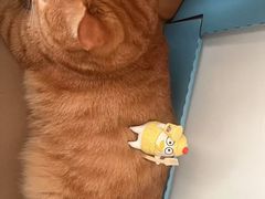 -小乔过桥米线(玉林店)