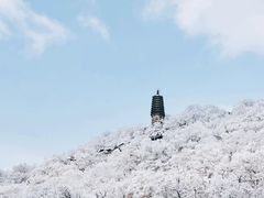 -高尔山公园