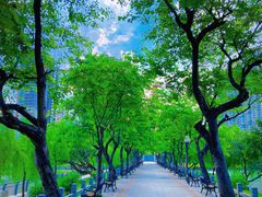 -东山湖公园