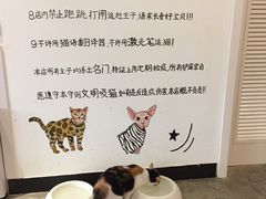 景观位-喵匠猫主题咖啡(凯德和平广场店)