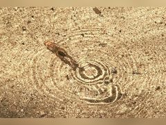 -碓臼峪自然风景区