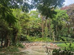 -深圳野生动物园