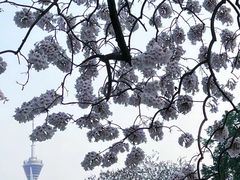 -红星桥(地铁站)