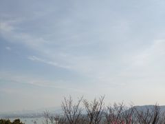 -香雪海