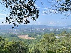 -大奇山国家森林公园