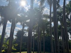 -中国科学院西双版纳热带植物园