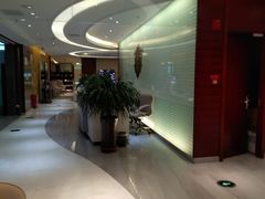 -桃仙机场头等舱休息室