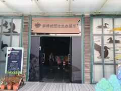 -华侨城湿地公园