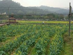 -红山村