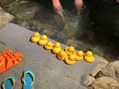 -湖泉半山温泉
