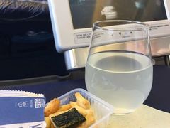 -全日本空输株式会社(上海办事处)